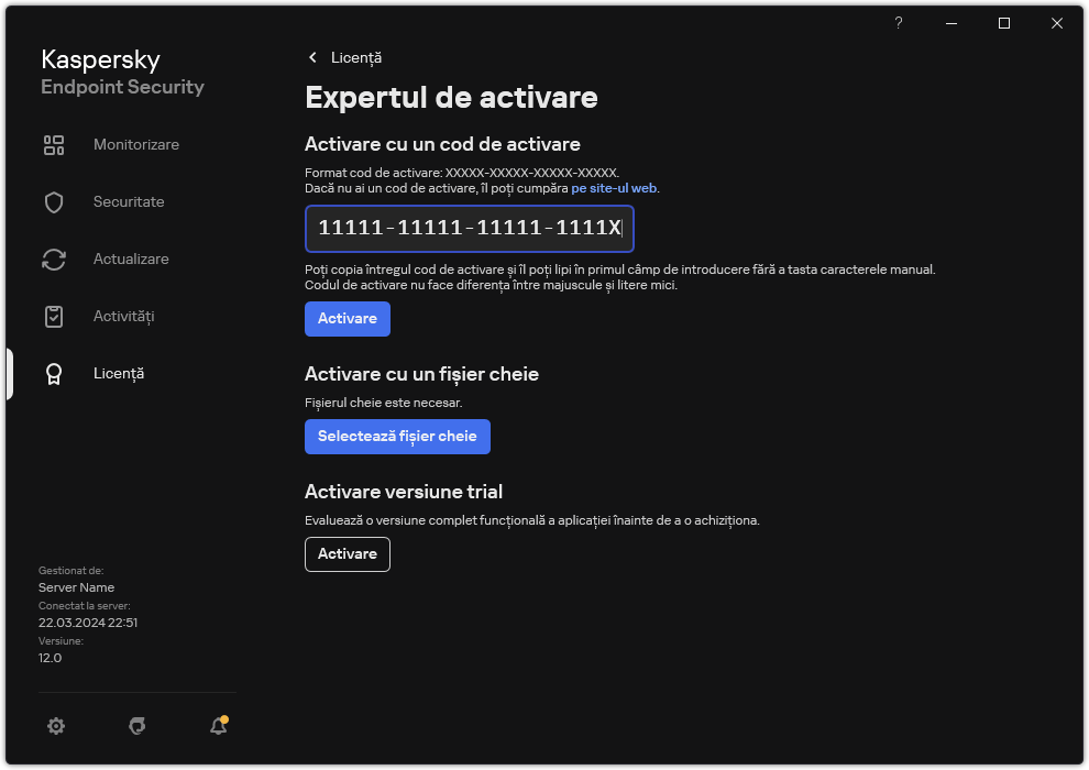 Fereastra cu instrumentele de activare a aplicației. Utilizatorul poate introduce un cod de activare sau poate selecta un fișier cheie.