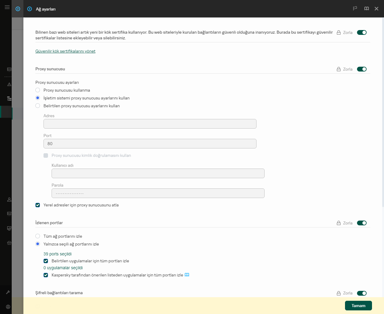 Uygulama ağ ayarları penceresi. Kullanıcı proxy sunucusu ayarlarını yapılandırabilir.