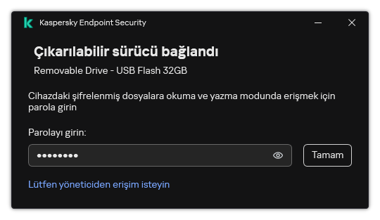 Pencere bir parola giriş alanı içerir. Kullanıcı bir dosya erişim isteği oluşturabilir.