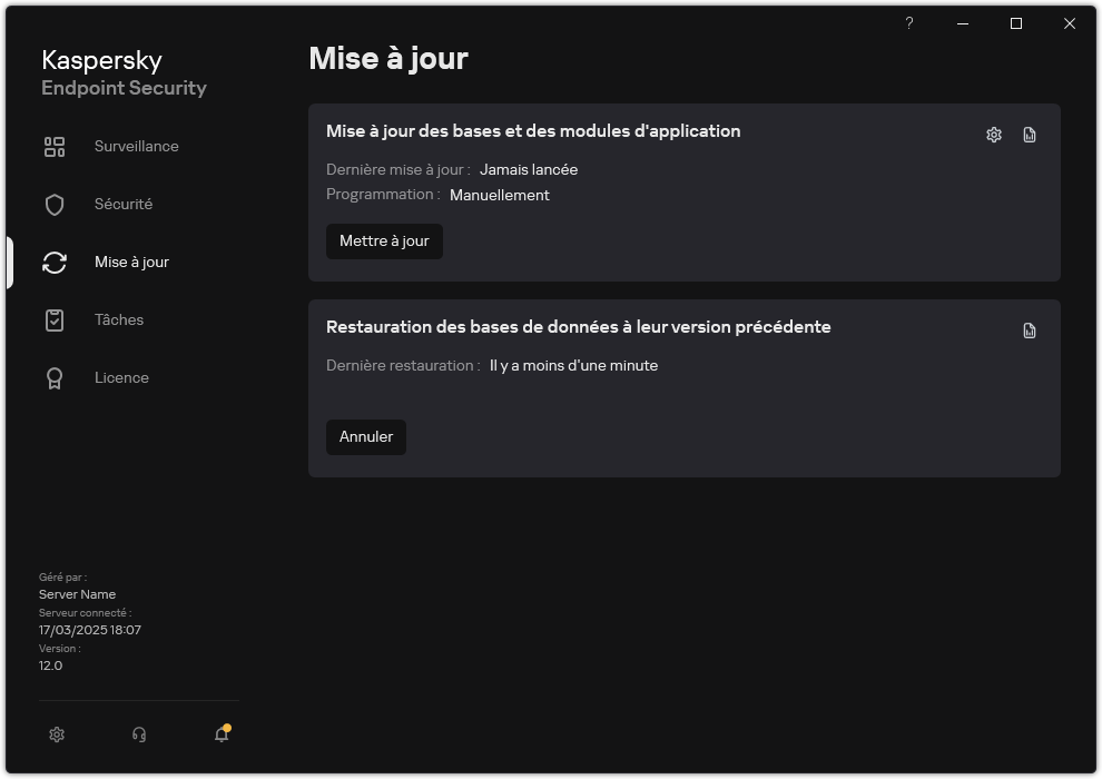 Une fenêtre avec la liste des tâches de mise à jour locales. L'utilisateur peut lancer la mise à jour des bases de données et des modules d'application, ainsi qu'annuler la dernière mise à jour.
