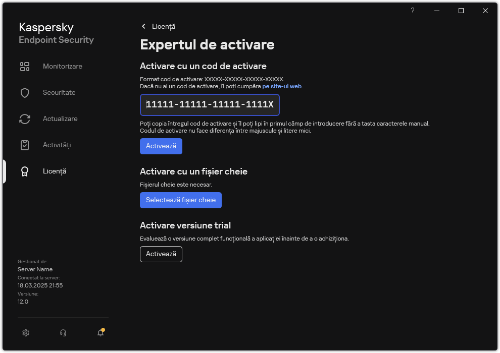 Fereastra cu instrumentele de activare a aplicației. Utilizatorul poate introduce un cod de activare sau poate selecta un fișier cheie.