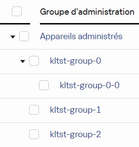 Trois groupes imbriqués sont ajoutés dans le groupe Appareils administrés. Un groupe ajouté a un sous-groupe.