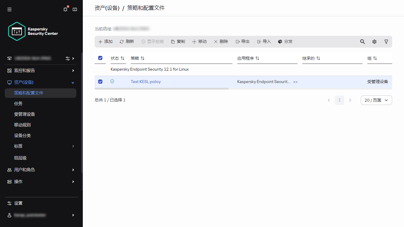 包含所选策略的策略和配置文件窗口。