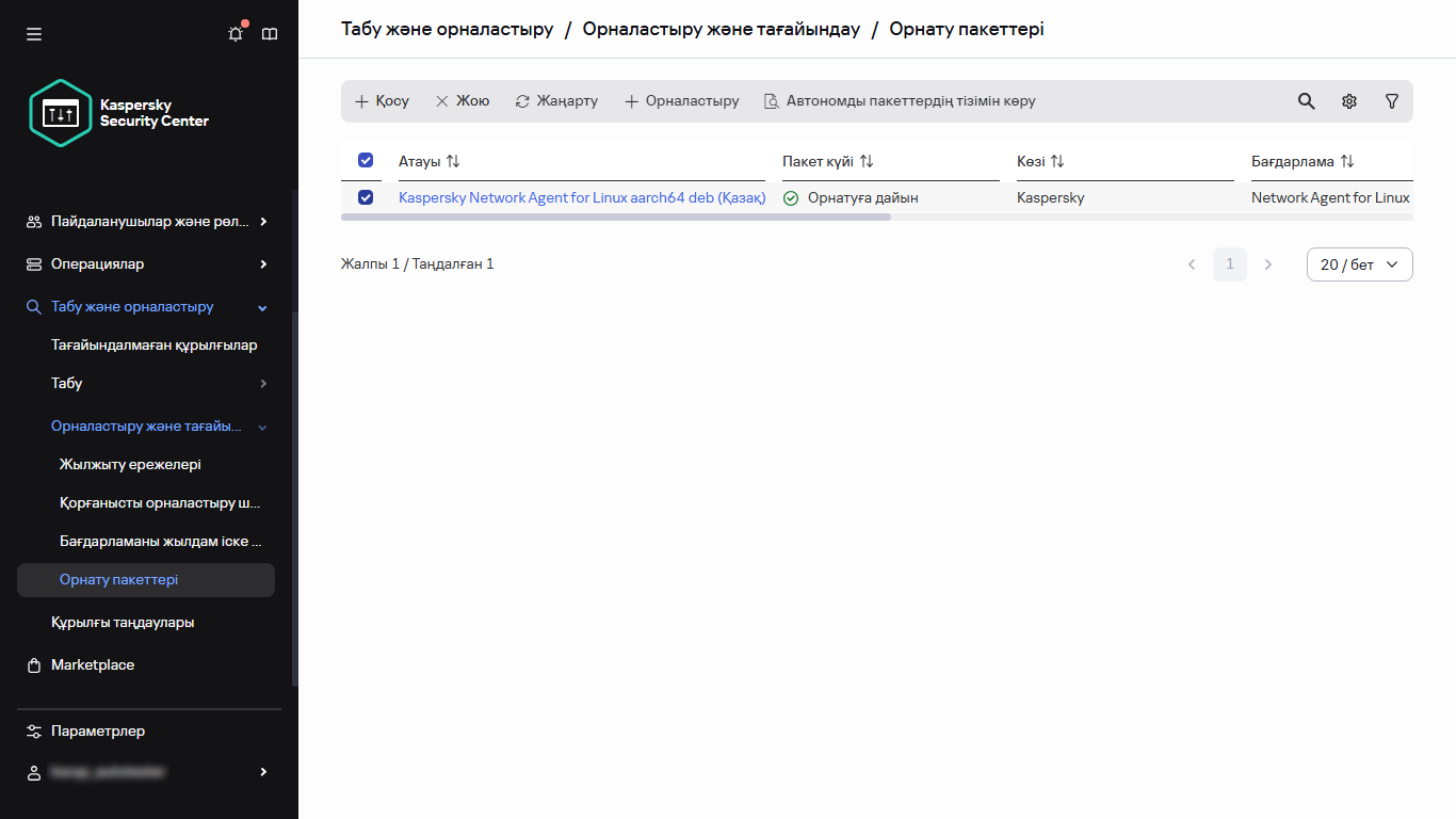 Орнату пакеттері бөлімінде таңдалған орнату пакеті.