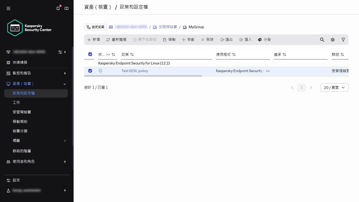 包含所選政策的政策和設定檔視窗。