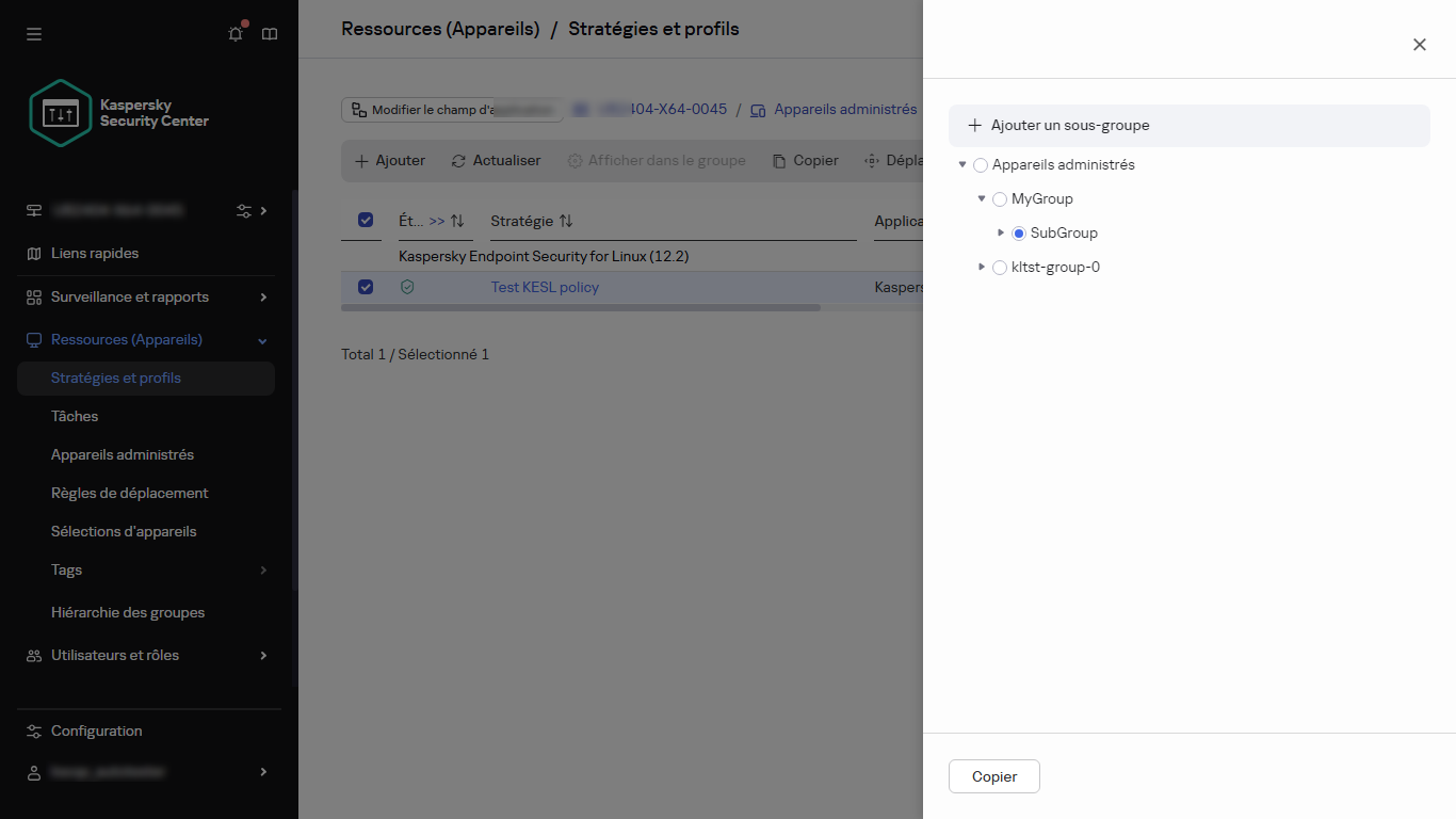 Sélectionnez le groupe pour copier le panneau de la stratégie.