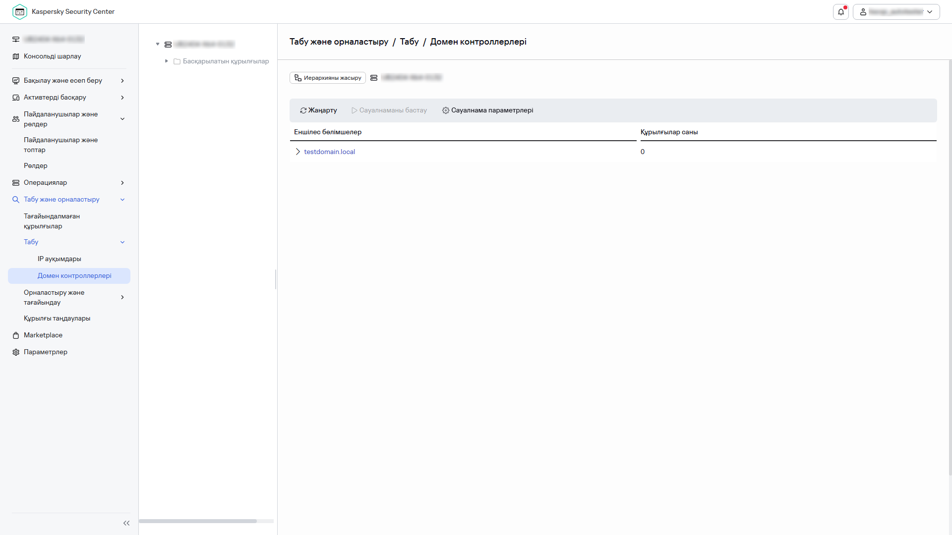 Домен контроллері сауалнамасы терезесі.