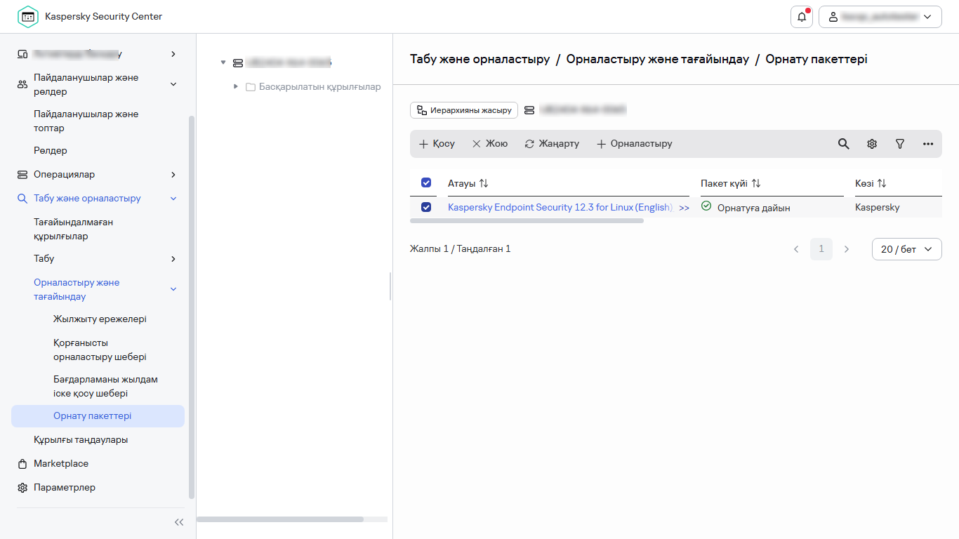 Таңдалған орнату пакеті.