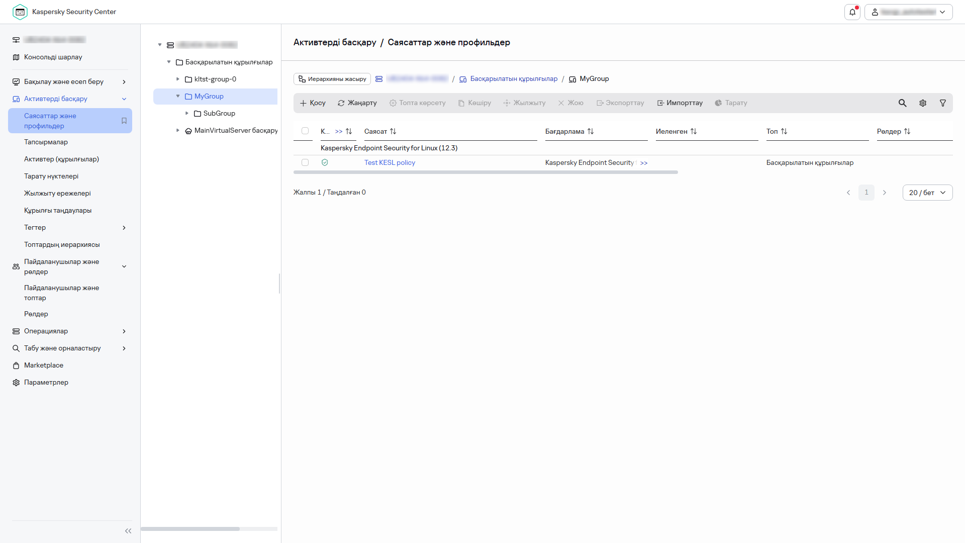 Саясаттар мен профильдердегі саясат түйіні.