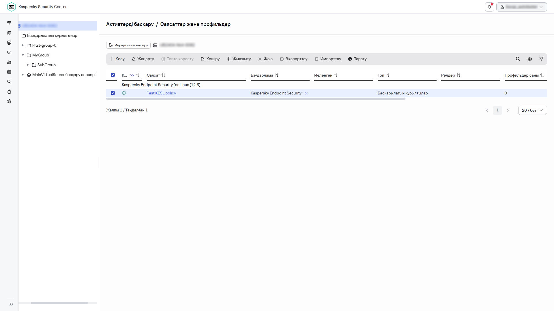 Таңдалған саясаты бар саясаттар мен профильдер терезесі.