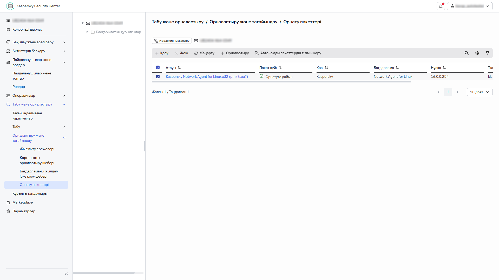 Орнату пакеттері бөлімінде таңдалған орнату пакеті.