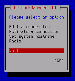 Der Screenshot zeigt die Schaltfläche, um mit nächsten Schritt des Installationsassistenten fortzufahren.